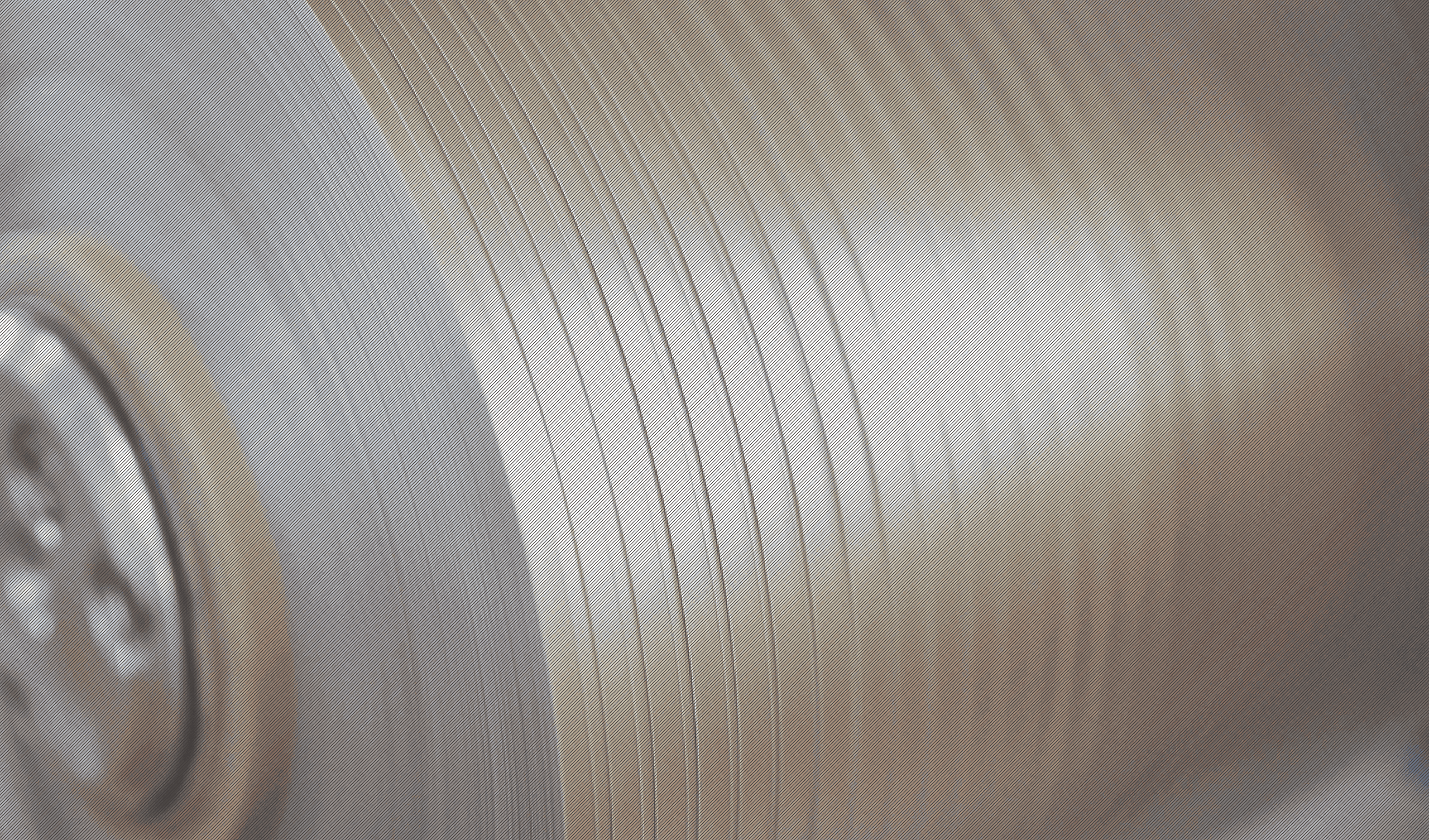 The Next Generation!